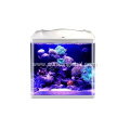 High Performance Practicability Glass Fish Bowl